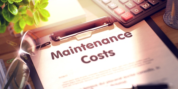 People and Processes Maintenance Costs_580920085